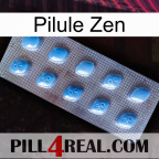 Zen Pill viagra3